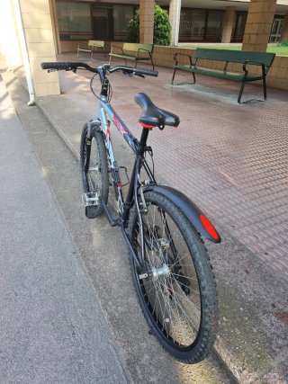 Bicicleta de Montaña