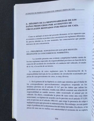 Accidentes de Trafico Causados Por Animales caza