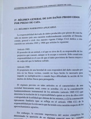 Accidentes de Trafico Causados Por Animales caza