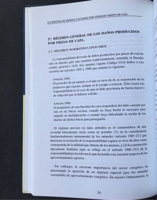 Accidentes de Trafico Causados Por Animales caza