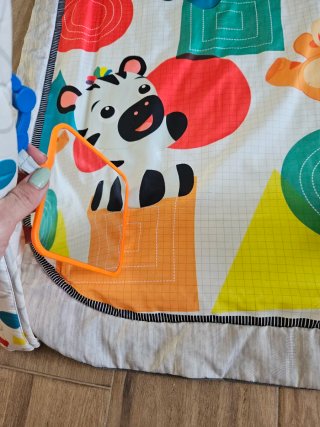 Gimnasio infantil Baby Einstein