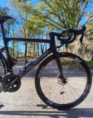Megamo Pulse Elite