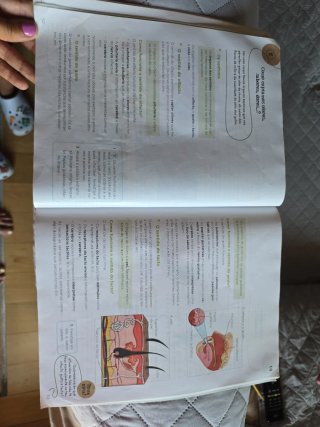 Ciencias da Natureza 4