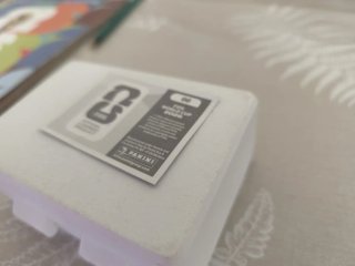 Carta Panini 00
