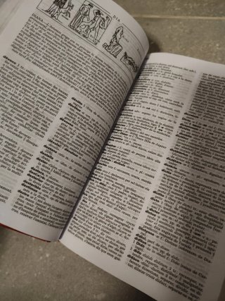 Diccionari il·lustrat llatí-català, català-llatí