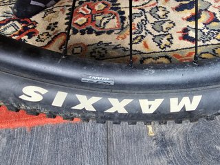 Bicicleta Giant XTC Carbono