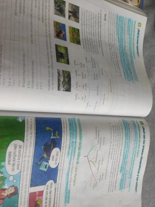 Biología y Geología. 1 Secundaria. Revuela. Com...