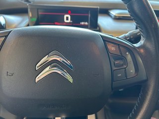 CITROEN C4 Cactus PureTech 110 SS Shine Pack