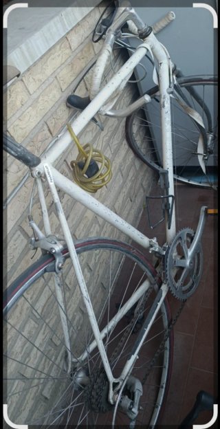 Bicicleta Carretera Vintage Pinarello