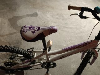 Bicicleta infantil 20 pulgadas