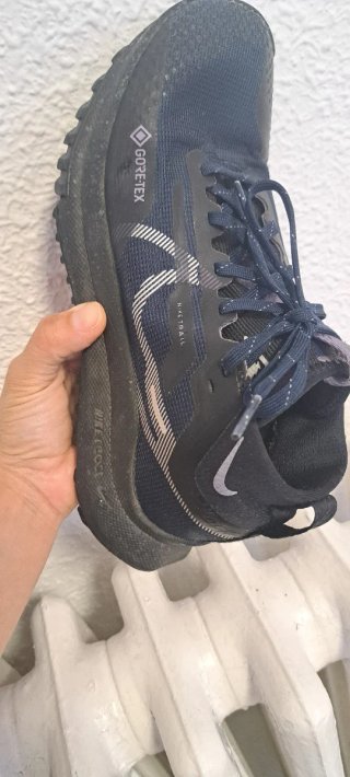 Zapatillas Nike Trail Gore-Tex Talla 36.5