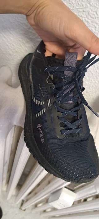 Zapatillas Nike Trail Gore-Tex Talla 36.5