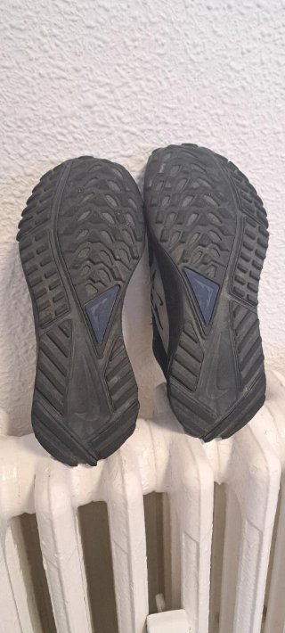 Zapatillas Nike Trail Gore-Tex Talla 36.5
