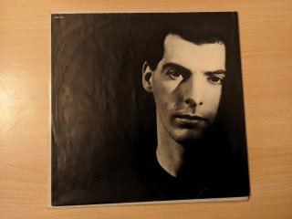 Vinilo The Fountainhead - Voice of Reason