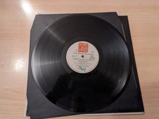 Vinilo The Fountainhead - Voice of Reason