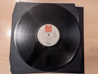 Vinilo The Fountainhead - Voice of Reason