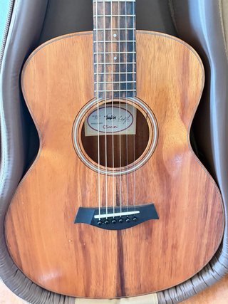 Guitarra Taylor GS Mini