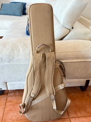 Guitarra Taylor GS Mini