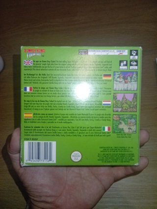 Donkey Kong Country Game Boy Color