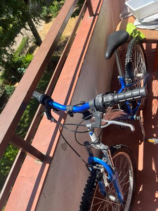 Bicicleta todo terreno Oregon