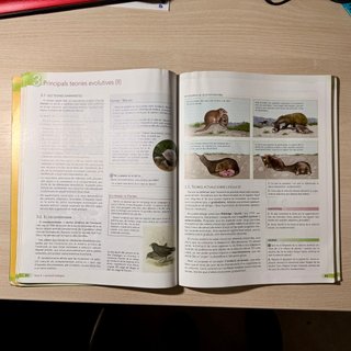 Nou bioterra 4, Educació Secundària, Comunitat ...
