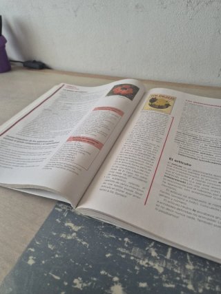Beatriz Bernal Bachillerato. Lengua castellana