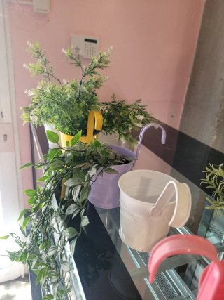 Plantas artificiales con maceteros de colores