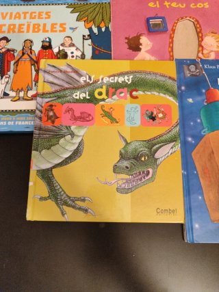 Lot llibres infantils català