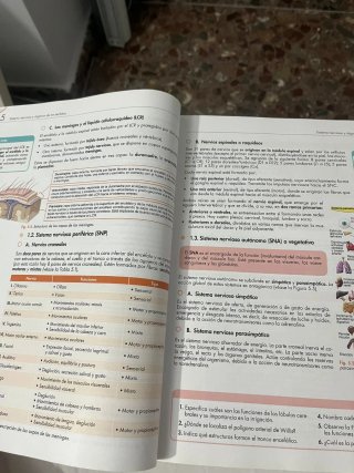 Atención sanitaria : grado medio