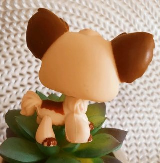 Littlest Pet Shop De Hasbro, Chihuahua