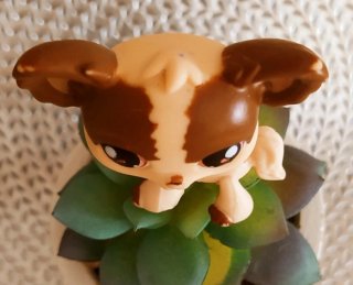 Littlest Pet Shop De Hasbro, Chihuahua