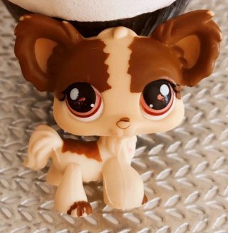 Littlest Pet Shop De Hasbro, Chihuahua