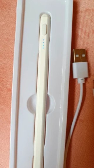 Lápiz Stylus Carga USB-C Compatible iPad