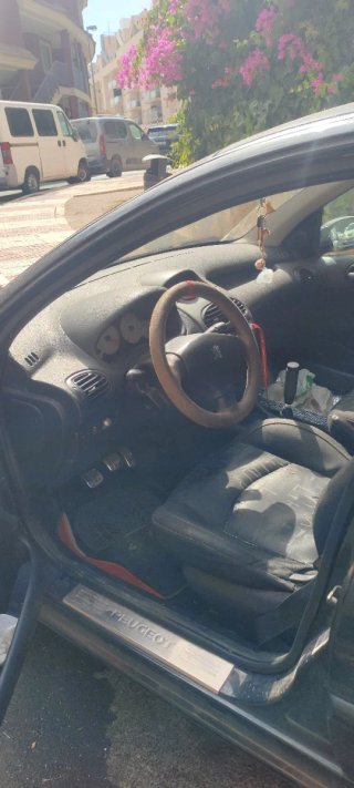 Peugeot 206 2005