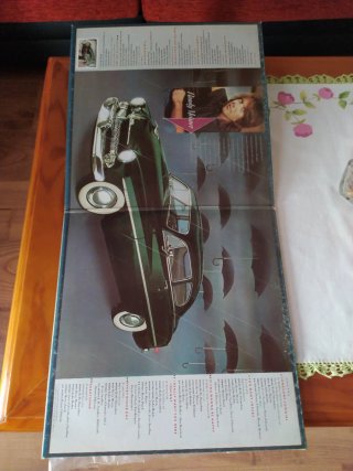 Vinilo Randy Meisner