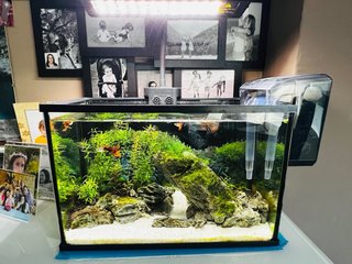 Acuario 20L montado