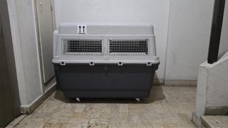 Transportín Perro Grande Viaje Ruedas