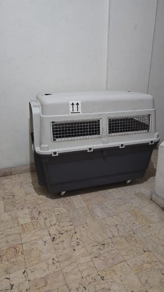 Transportín Perro Grande Viaje Ruedas