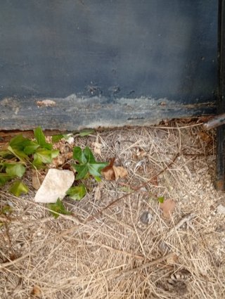Puerta de entrada metálica para finca
