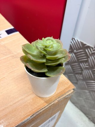 Pack 4 Plantas Artificiales Decorativas
