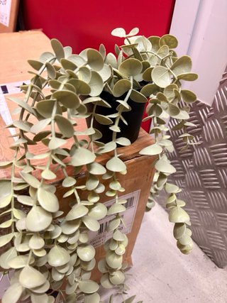 Pack 4 Plantas Artificiales Decorativas