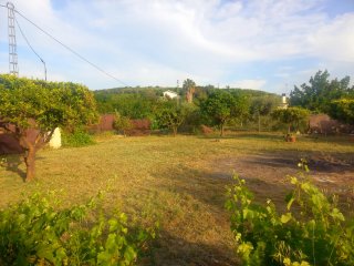parcela en alquiler