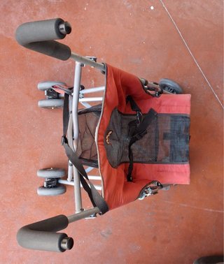 Carrito de paseo plegable