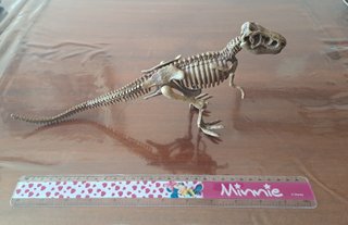 Esqueleto Dinosaurio T-Rex