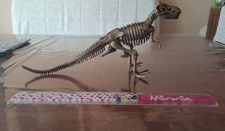 Esqueleto Dinosaurio T-Rex