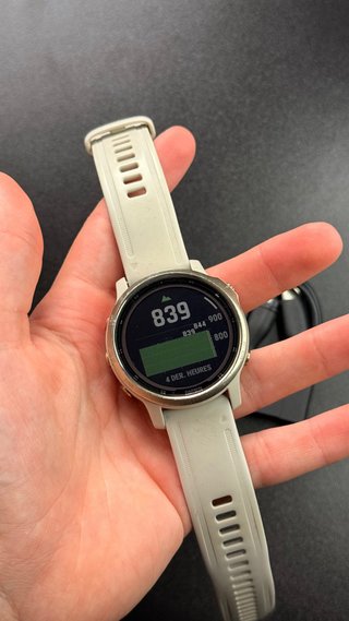 Garmin Fenix 6s Pro Solar Beige