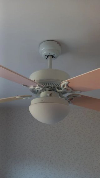 Ventilador 5 aspas juvenil con mando