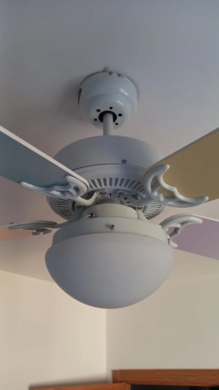 Ventilador 5 aspas juvenil con mando