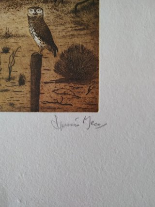 Grabado de una lechuza, siglo XX