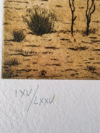 Grabado de una lechuza, siglo XX